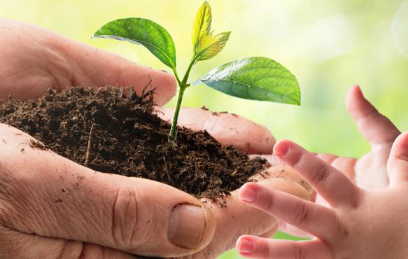 Image illustrant la démarche RSE